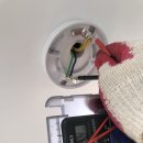 정릉약국 이미지