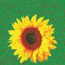 씨유 안성대덕신령점 | 1104회1등 로또당첨번호 분석, 1105회 로또예상번호