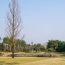 에이블골프 이미지