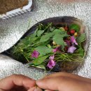 소꿉놀이작은도서관 이미지