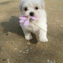 예쁜언니 - 의성군 | 예쁜언니