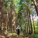 대도목장 이미지