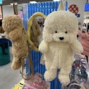 쿨펫이마트 목동점 동물병원 이미지