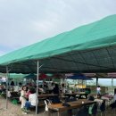 하루농장 | 경북 칠곡 하루체험농장 후기｜토끼 먹이주기·물고기잡기 아이랑 가볼만한곳