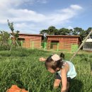 강화역사박물관 이미지