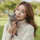 펫퍼스트 24시 강아지분양고양이분양 용인점 이미지