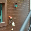 홀리데이펜션 이미지