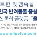 올펫동물병원