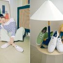 케즈신세계