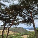 골드레이크컨트리클럽(회원제) | 골드레이크cc 밸리&amp;힐코스 겨울 라운딩 후기