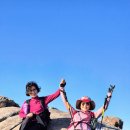 산성 | 금정산성 환종주 후기(2025년 12월 28일 등산바이블 핏짜워킹 공개산행)