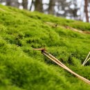 수락산역 이미지