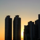 동백공원 티스토리