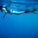 라온다이브레져스포츠 | [Free-diving]프리다이빙 강습.프리다이빙 자격증.프리다이빙 교육.처음이에요 어떻게 시작해야 하나요?