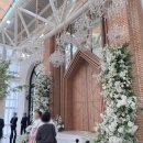 (주)바실리움 이미지