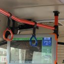 마하생태관광단지 | [겨울 제주 올레길 100km 완주 ④] Day3 8코스 20km 후기｜약천사·중문·예래생태공원