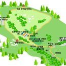 [모집중] 초여름의 향기! - 대관령양떼목장, 한국 자생식물원, 월정사 전나무숲길 이미지