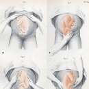 산부인과(Obstetrics and Gynecology)와 여성 건강관리 -미/영 이미지