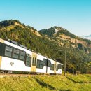 다우목장 이미지