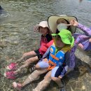 백담관광정보센터 이미지