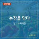 녹색농장 | 용인 아이와 가볼만한 곳 딸기 수확체험 농장을 담다 후기