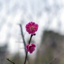 햇살이 머무는 뜨락 이미지