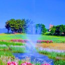 우림세탁소 이미지