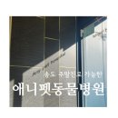 애니네 반려견 미용실 | 송도고양이건강검진은? 애니펫에서 애완묘 건강관리 했어요!