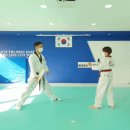 용인대 홍익 태권도장 이미지