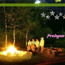 별빛사냥 이미지