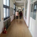 금산초등학교 이미지