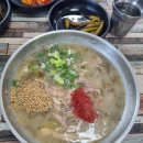 함덕 닭해장국 | 제주도 아침식사 함덕닭해장국 닭몸국 닭곰탕 닭계장 이색맛집 내돈내산