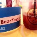 빈트리(Bean Tree)
