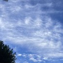 일오약국 이미지