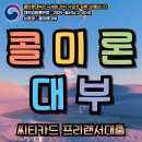 씨티 | 씨티카드 프리랜서대출 후기 및 승인 팁 (프리랜서 자금 해결 방법)