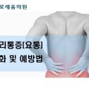 바로세움 이미지