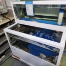 낙지마당평화점 이미지