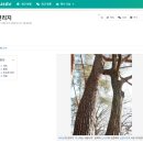 연리지인연일공팔 | W5. 투와이스톤 결혼반지 계약 및 수령 후기