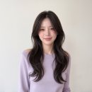 팔도미용실 티스토리