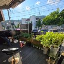 검성로1-3 이미지