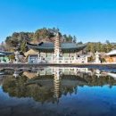 에이스성인게임랜드 이미지