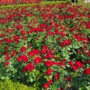 정관 어린이도서관(윗골공원) 이미지