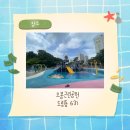 118호 어린이공원 네이버블로그