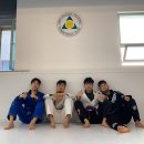 라이프짐MMA 이미지