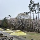 소망 카 센타 이미지