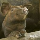 우사랑동물병원 이미지