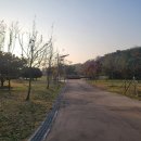 미단시티8호 근린공원 이미지