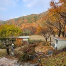 황토방펜션 이미지