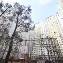 동화공인중개사사무소 이미지