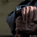 에스앤유피부과의원 네이버블로그